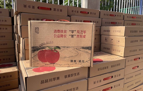 雷速体育比分官网“扶贫助农，振兴乡村”活动